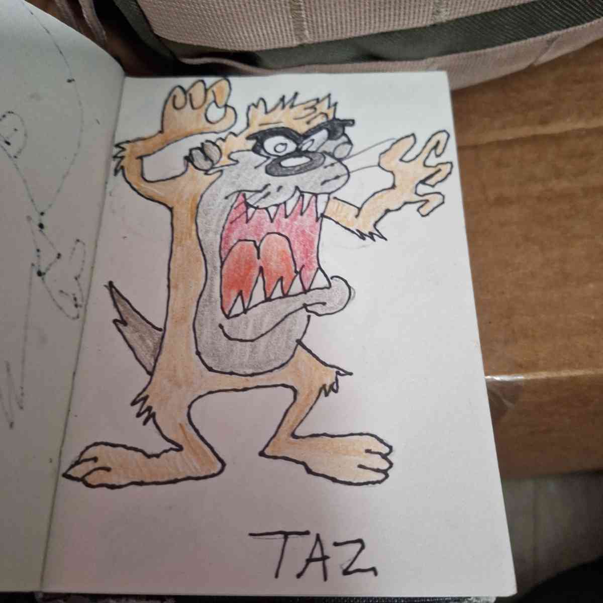 LOONEY TOON CHARACTERS drawings