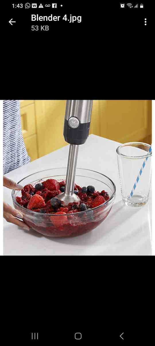 Handheld Blender