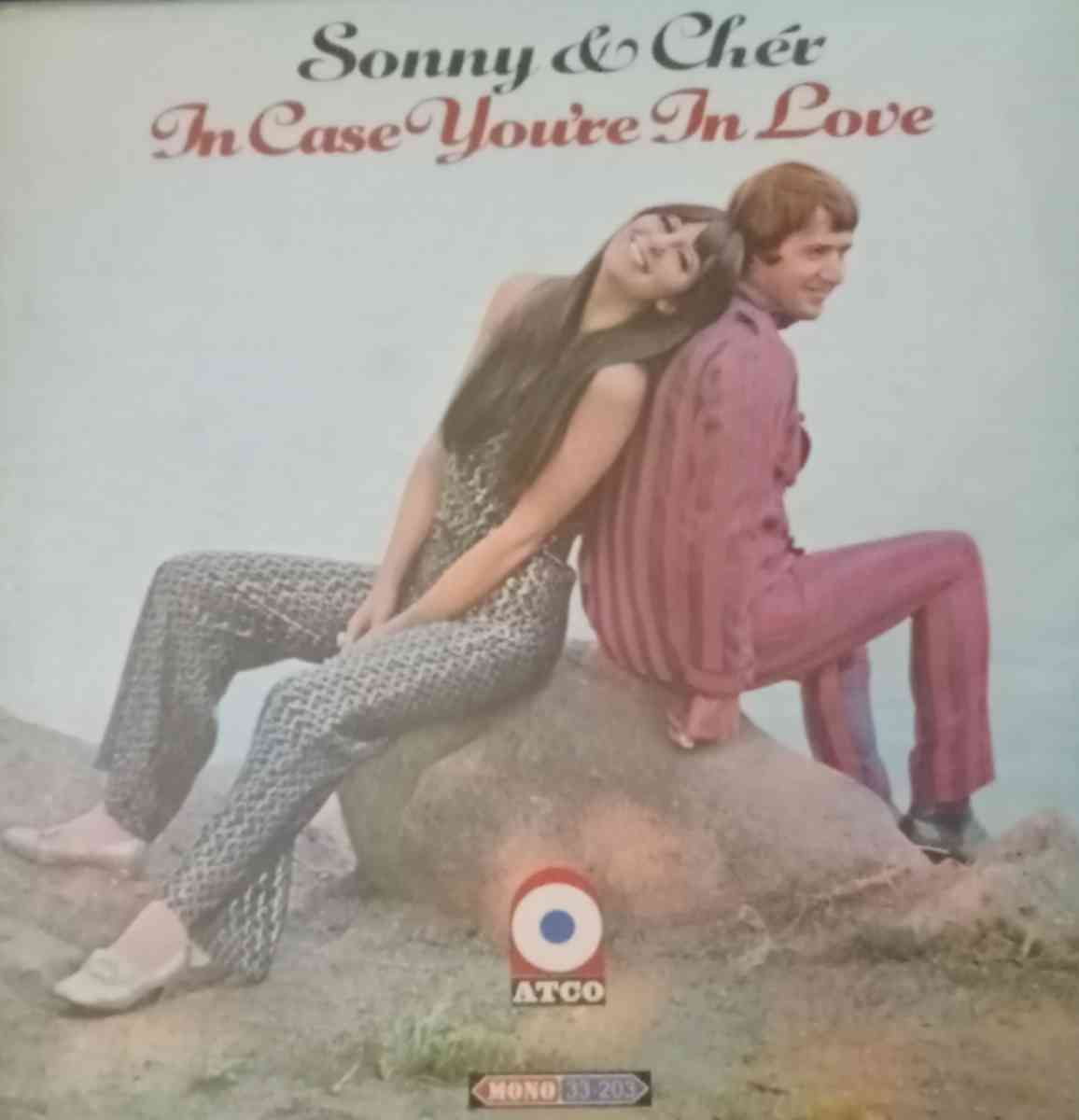 Sonny and cher in case youre in love vinyl