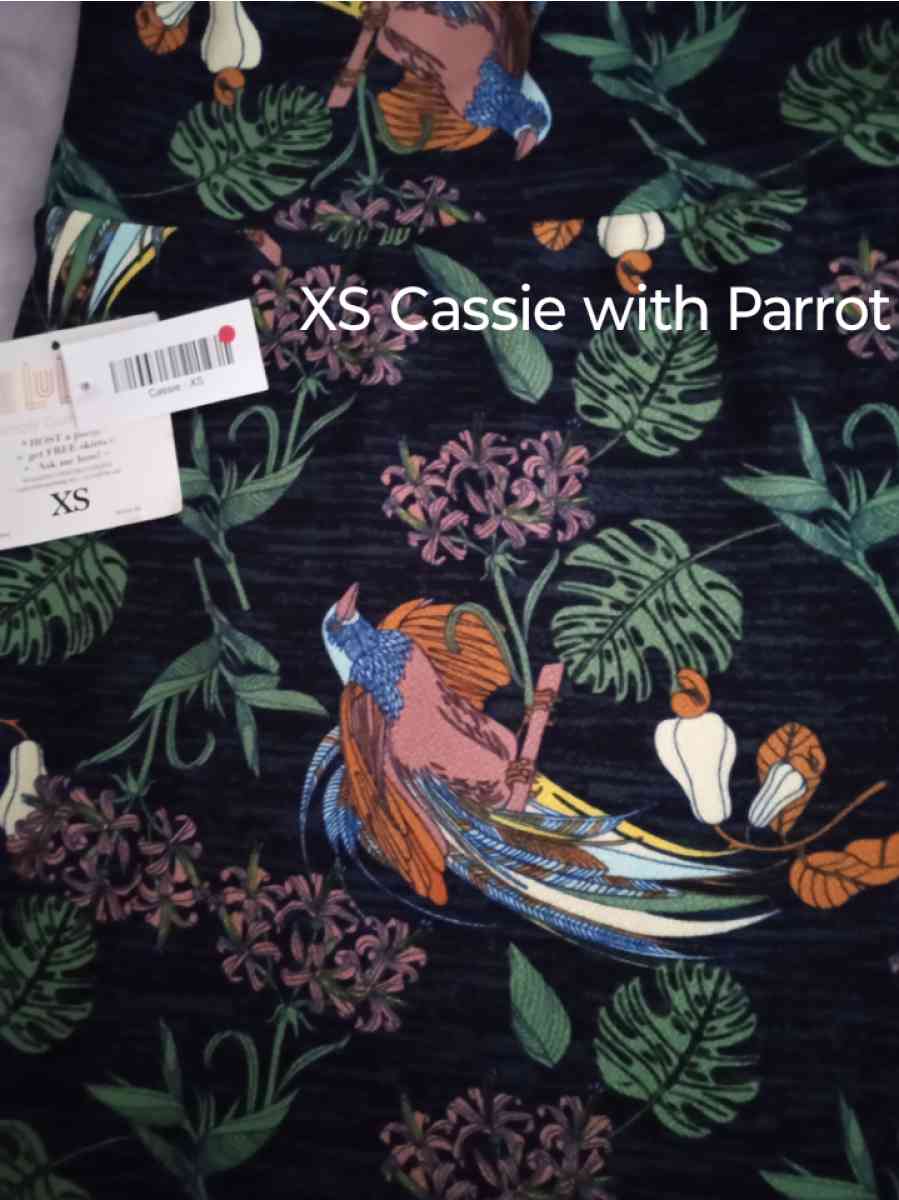 NWT LuLaRoe XS  Skirt outfit 35  Retails for 73 Toucan birds - Hemet, California - FleaMarketBay