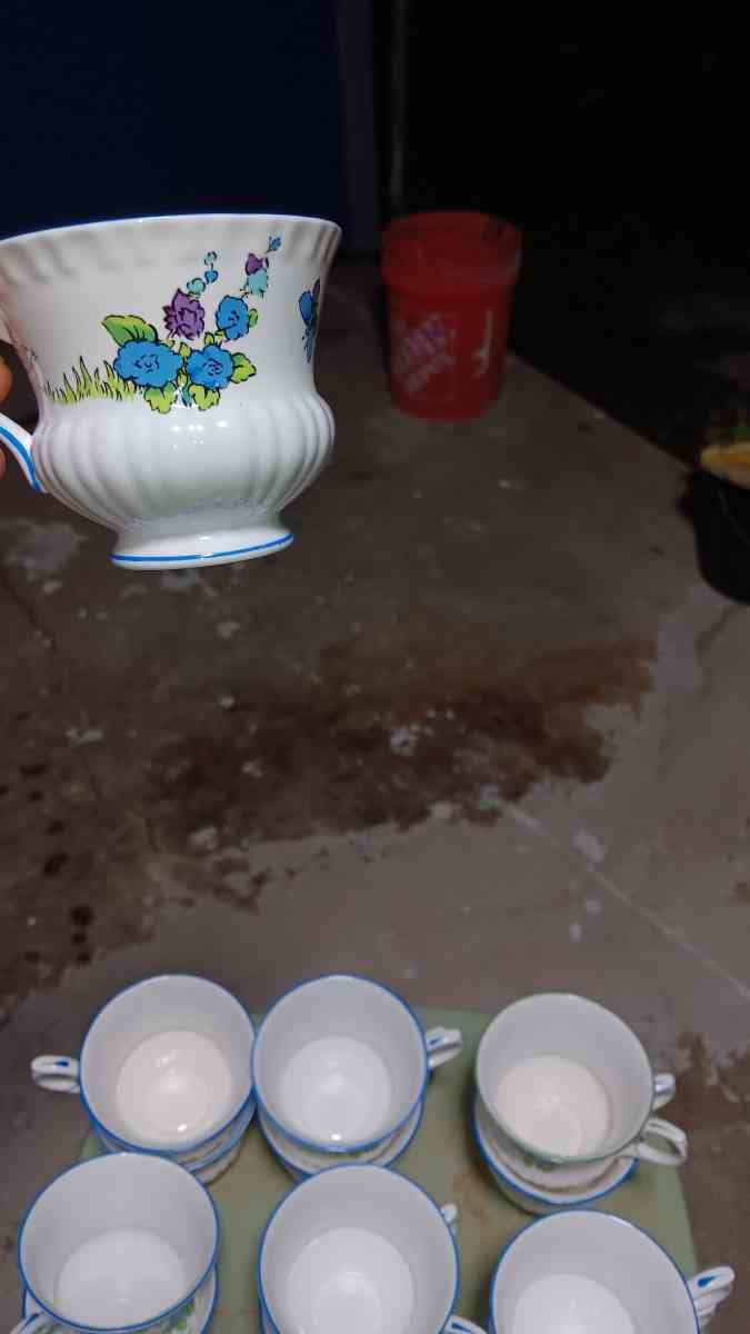 13 piece fine bone china tea cups hanpainted
