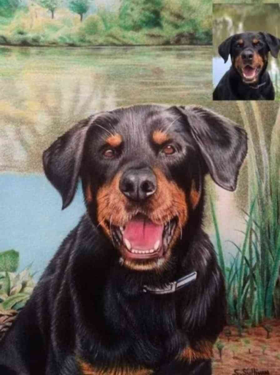 Hand drawn portraits