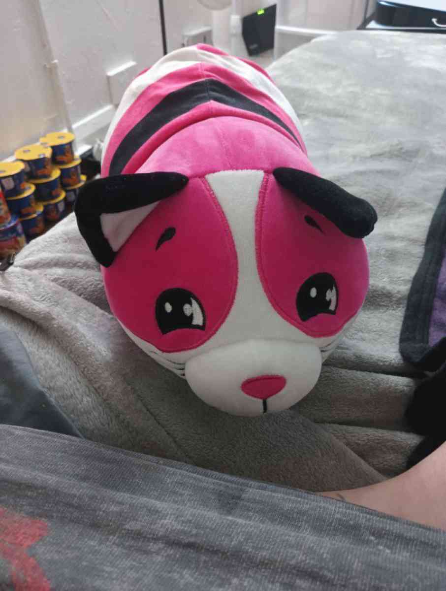 Cat And Dog Flip Squishmallow