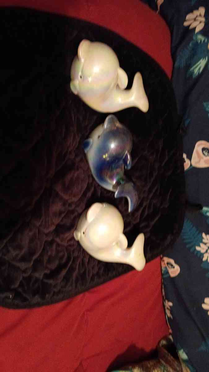 3 peice dohpin set with muti color light reflicting gloss