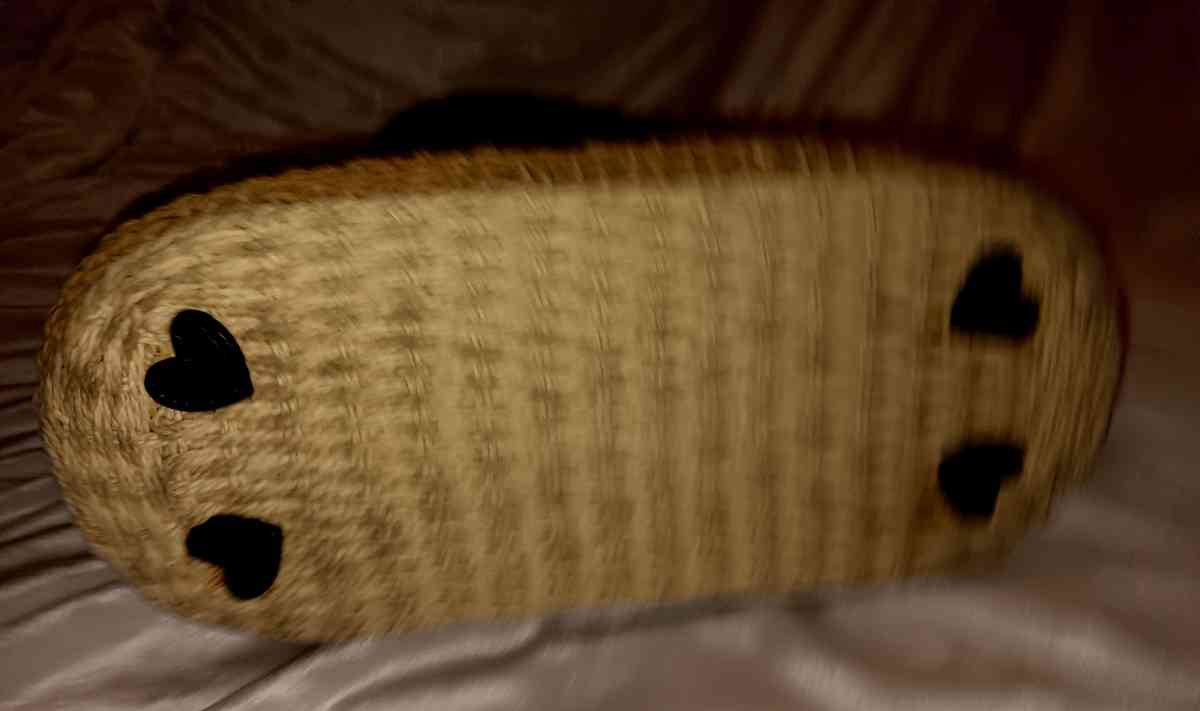 Brighton brand new large purse