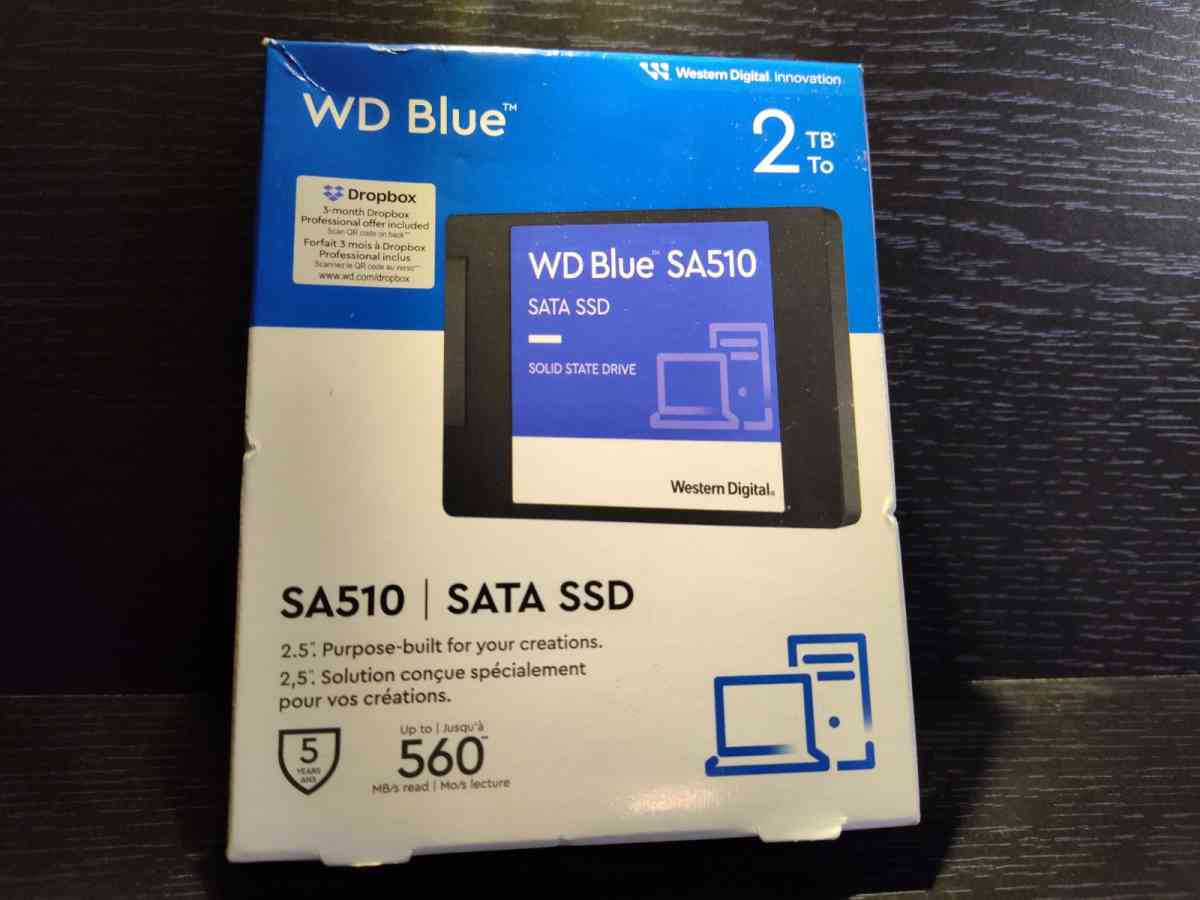 WB Blue SSD