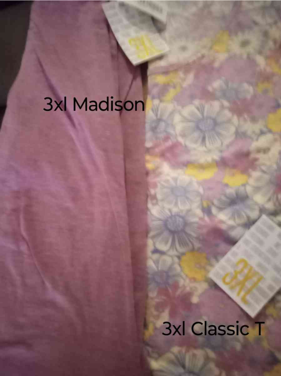 NWT 3XL LuLaRoe Cassic T and Madison Skirt outfit 35