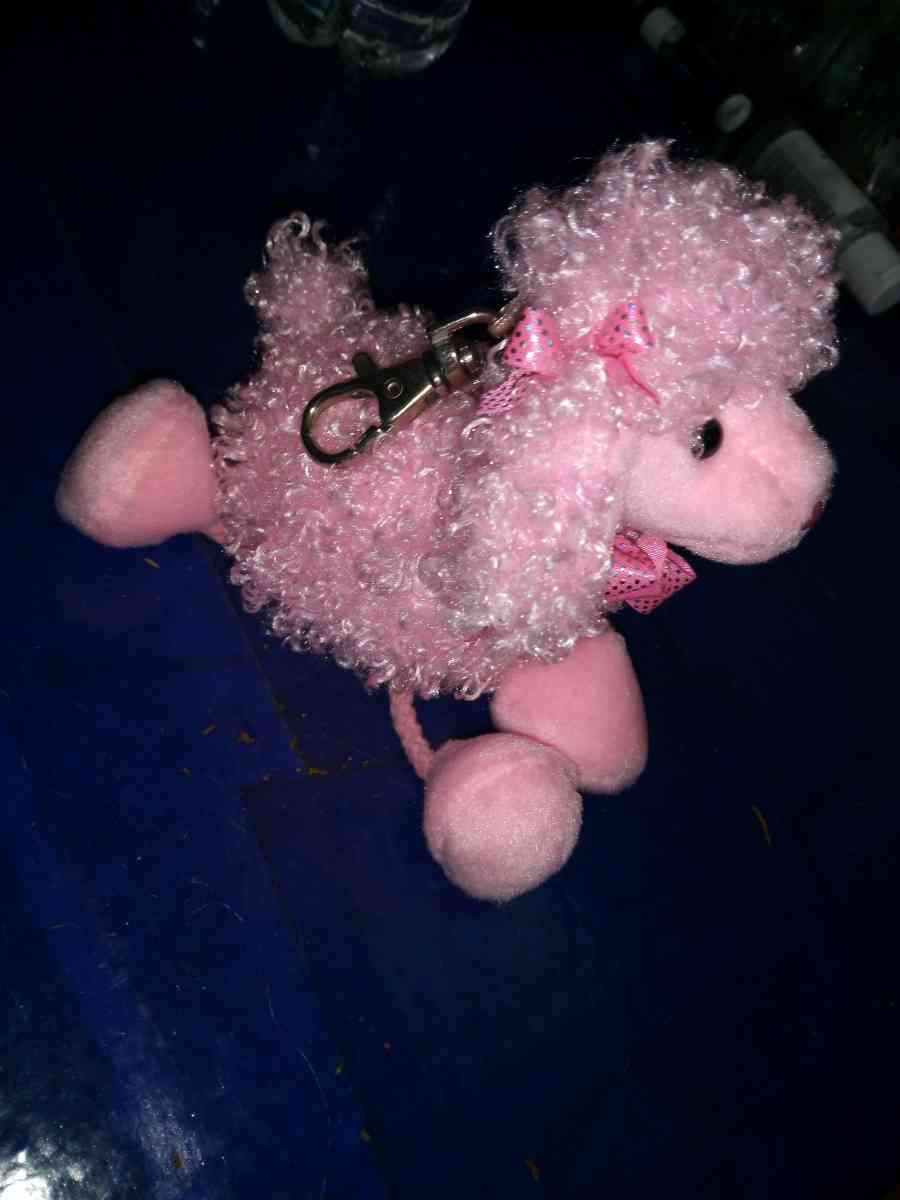 TY Pinky Poo key chain