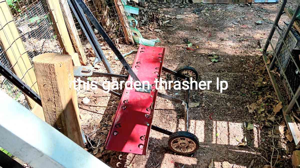 a planning garden thrasher to plant veggies and flowers etc