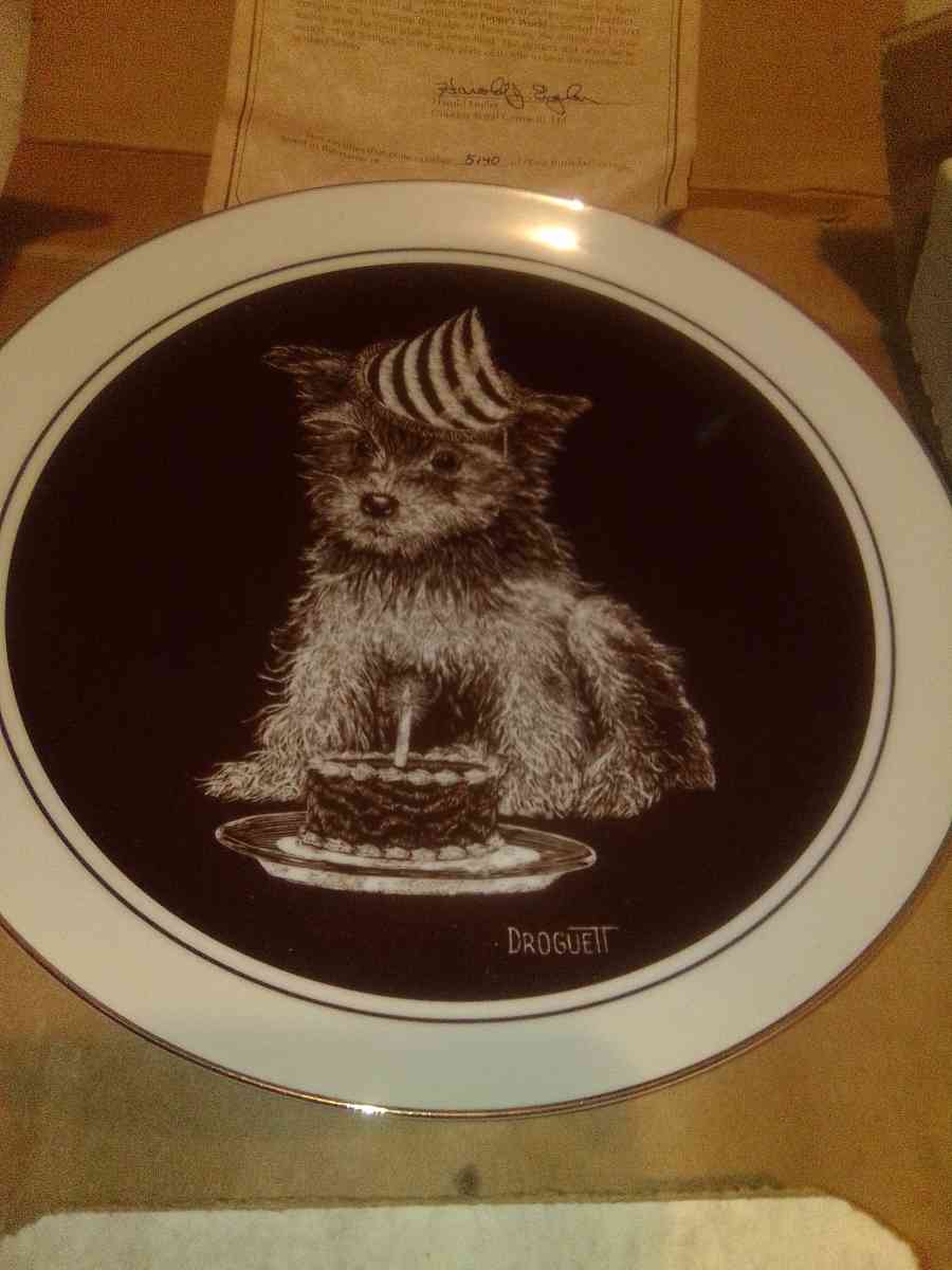 Droguett First Birthday Puppys world collectible Plate