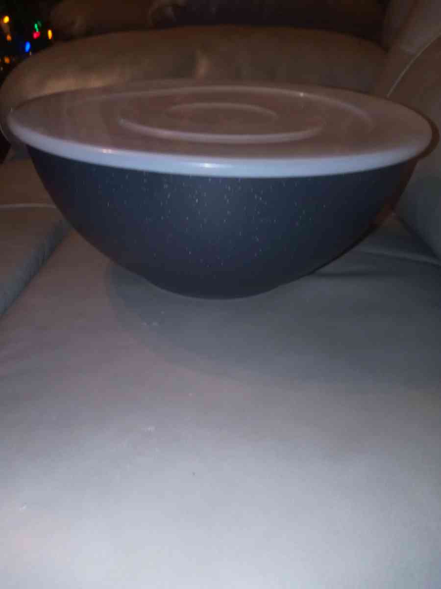 large bowl with secure lid