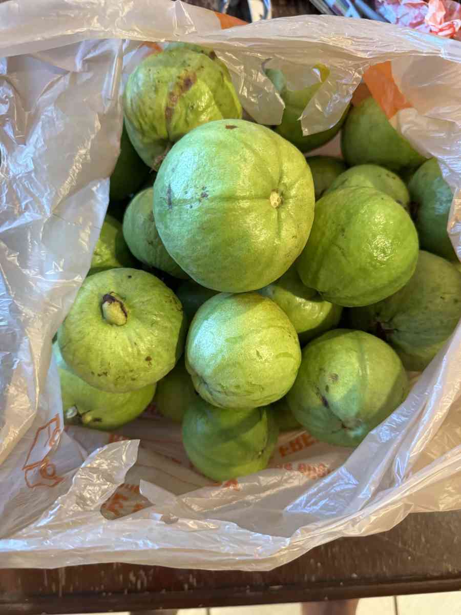 white guava 3 usd per pound