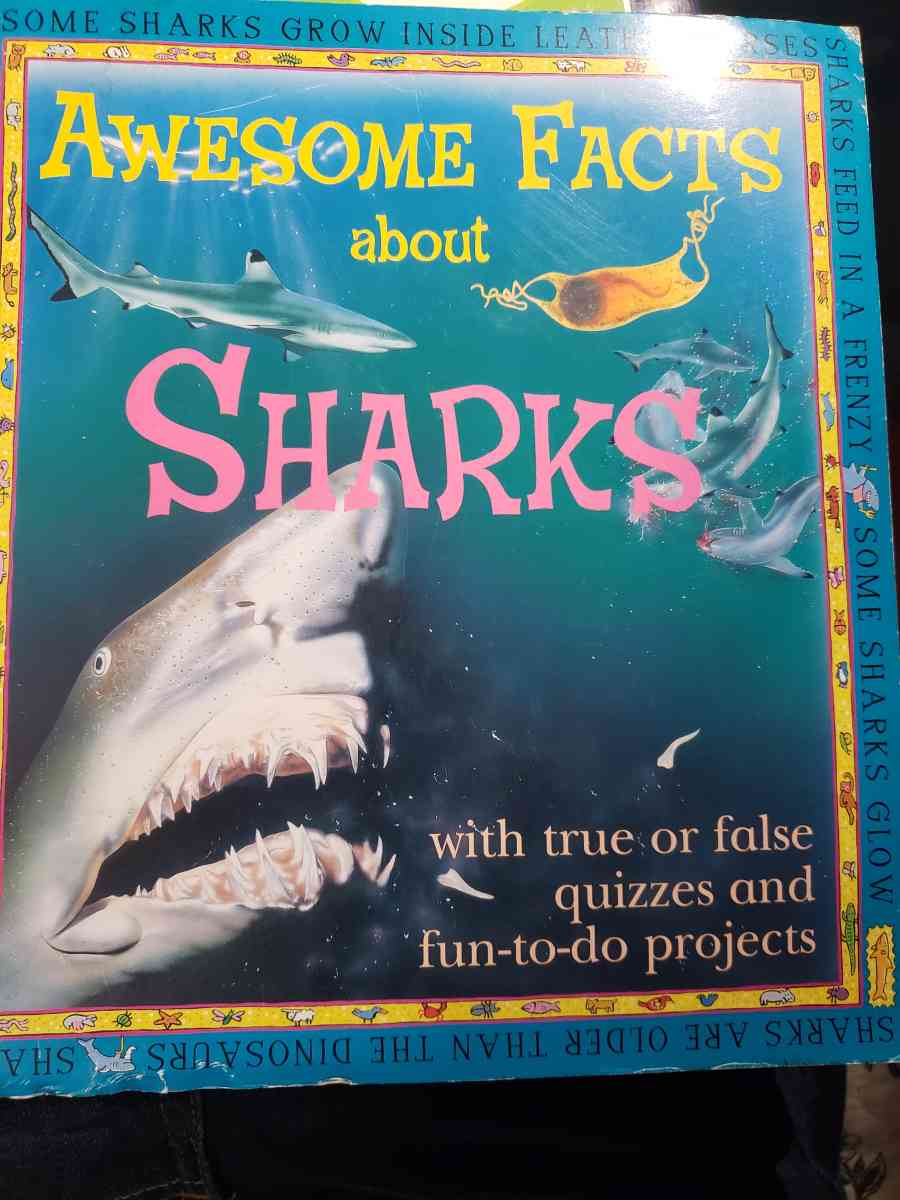 awesome facts about sharks