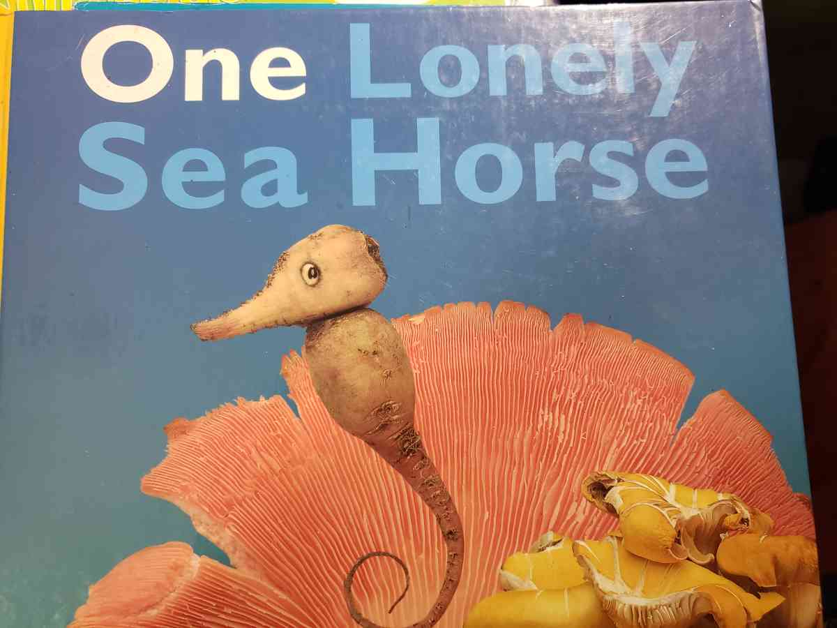 one lonely Seahorse