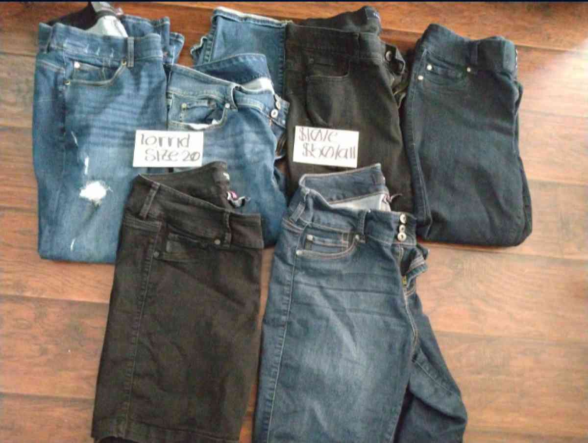 womens Torrid size 20