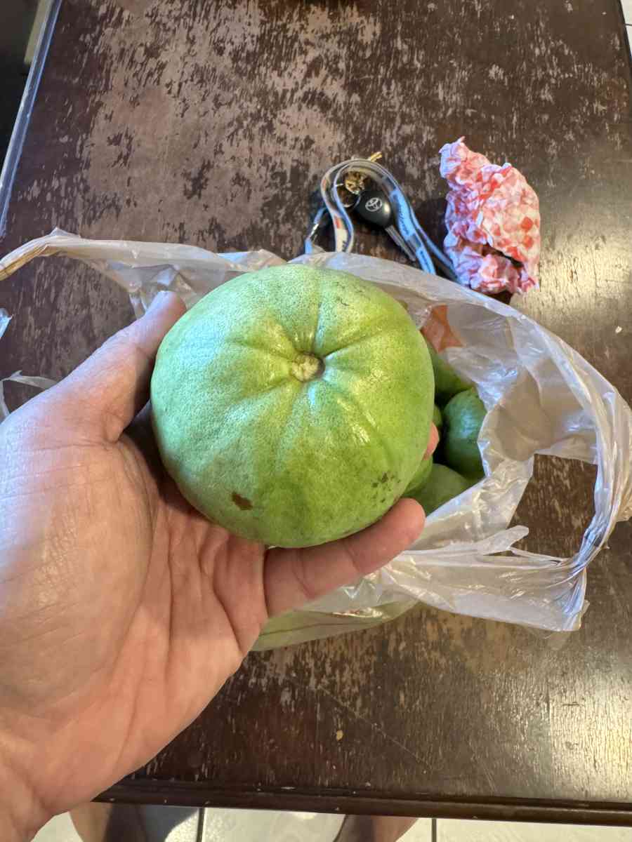 white guava 3 usd per pound