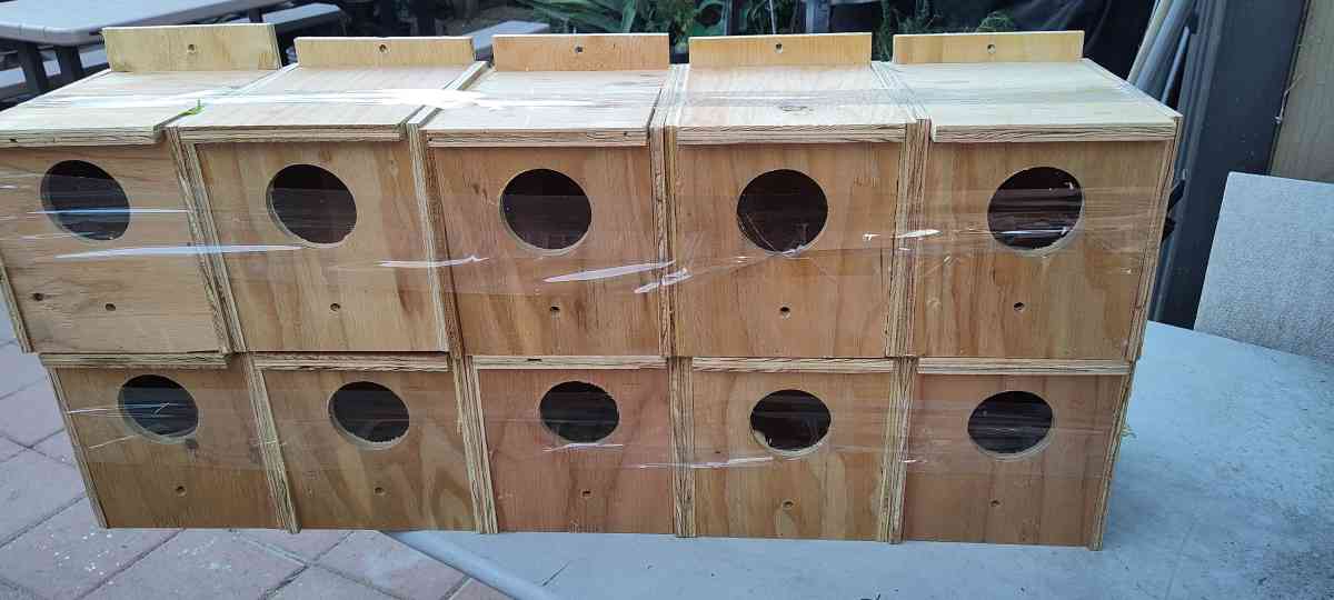 bird nest boxes