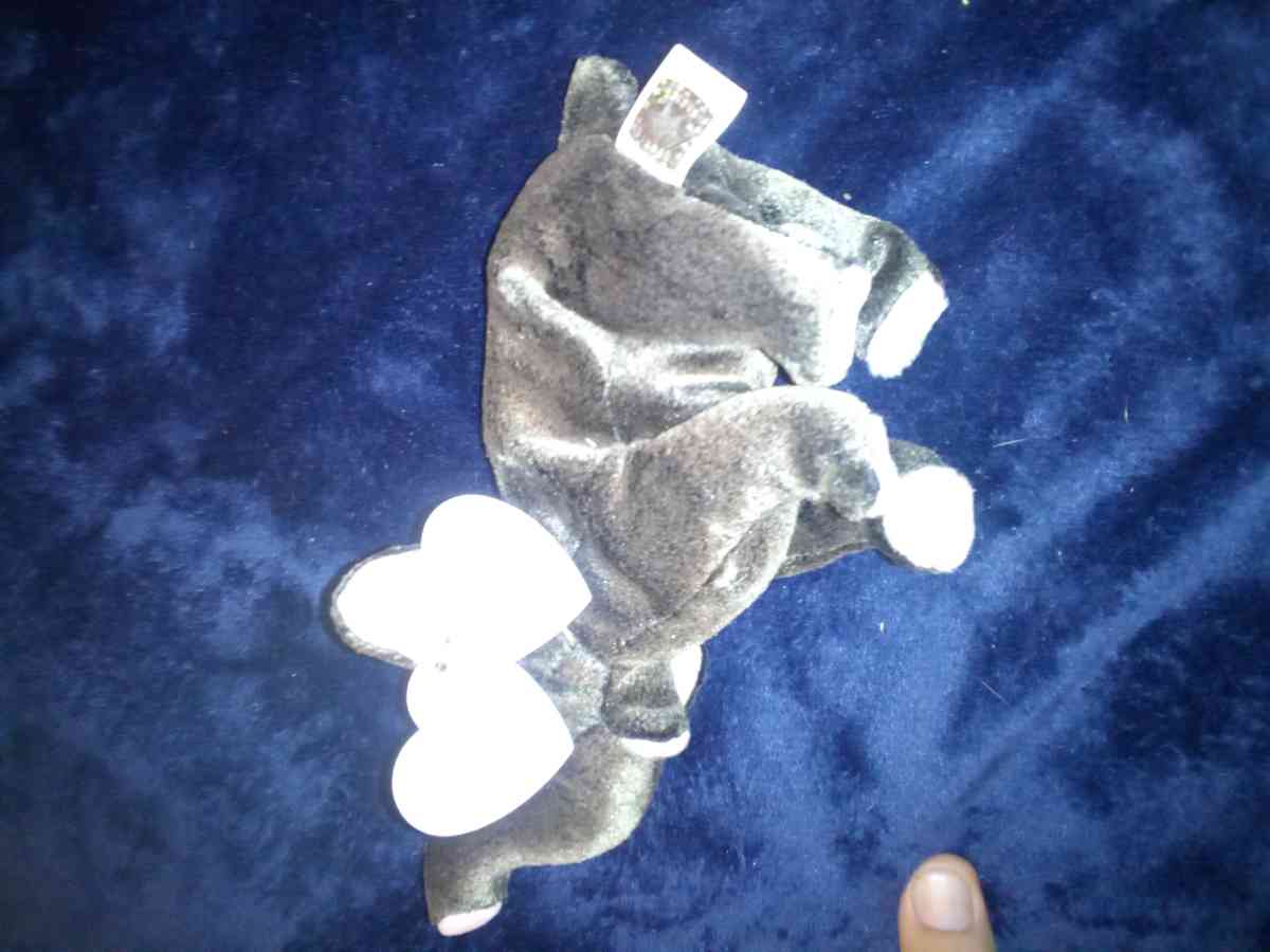 2000 Ty beanie babies Trumpet mint selling collection off