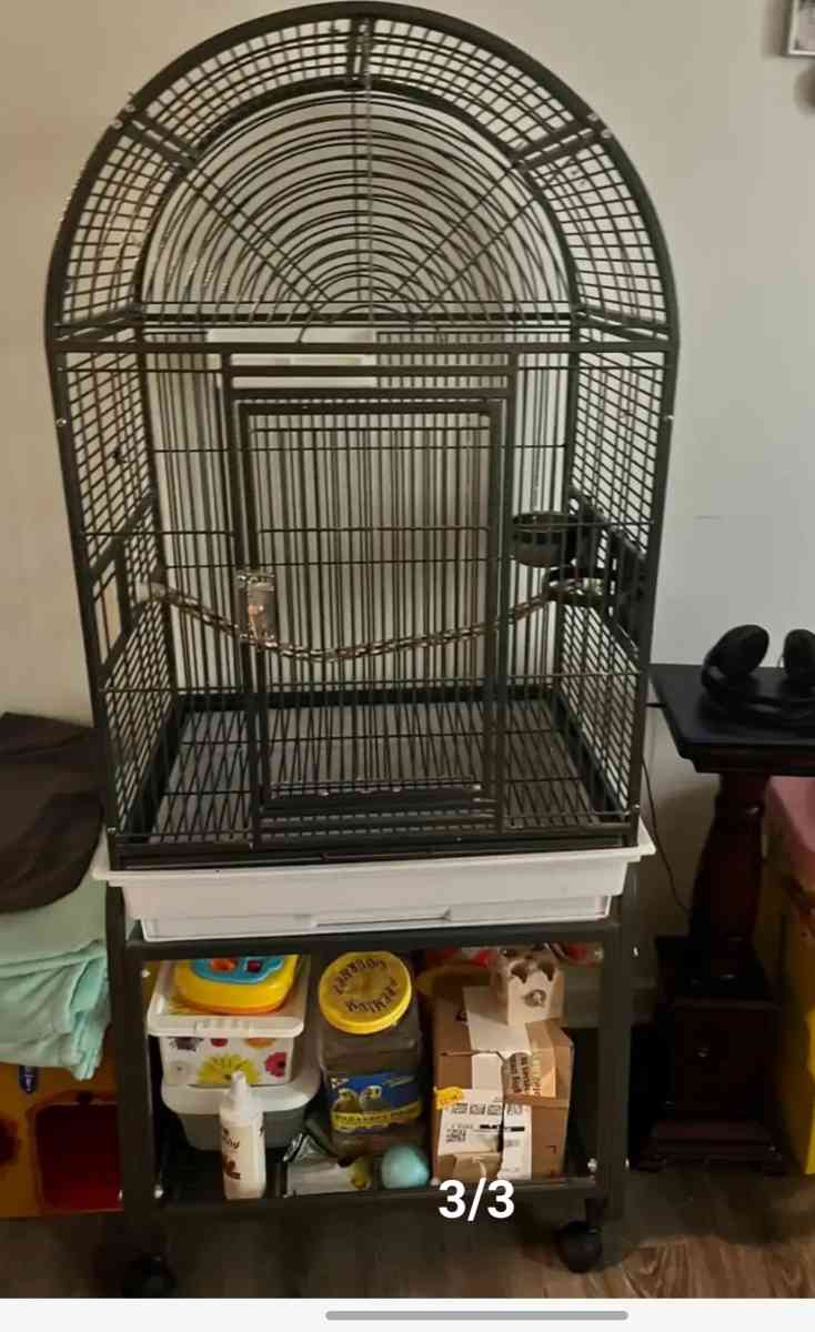 Large  Bird Cage  With Two cockatiel
