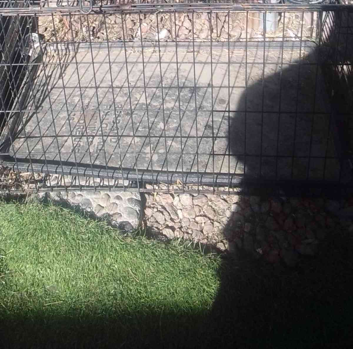 Dog Kennels Cages