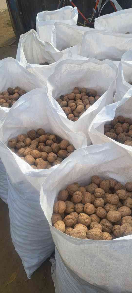 walnuts Chandlers