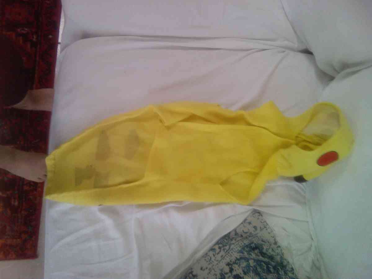 dog shirt Pikachu for large dogs