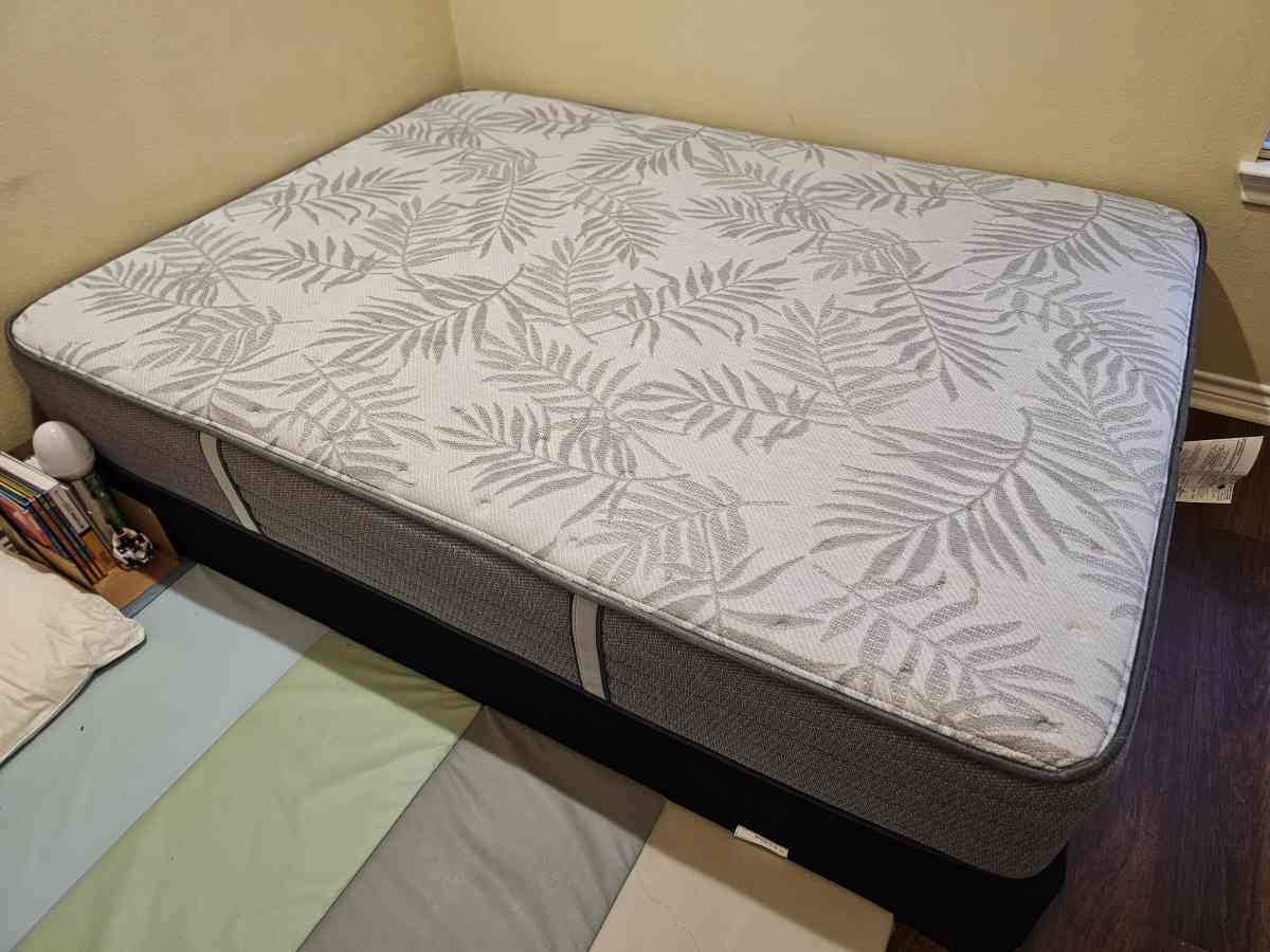 Pillow Top Queen Size Mattress With Box Spring