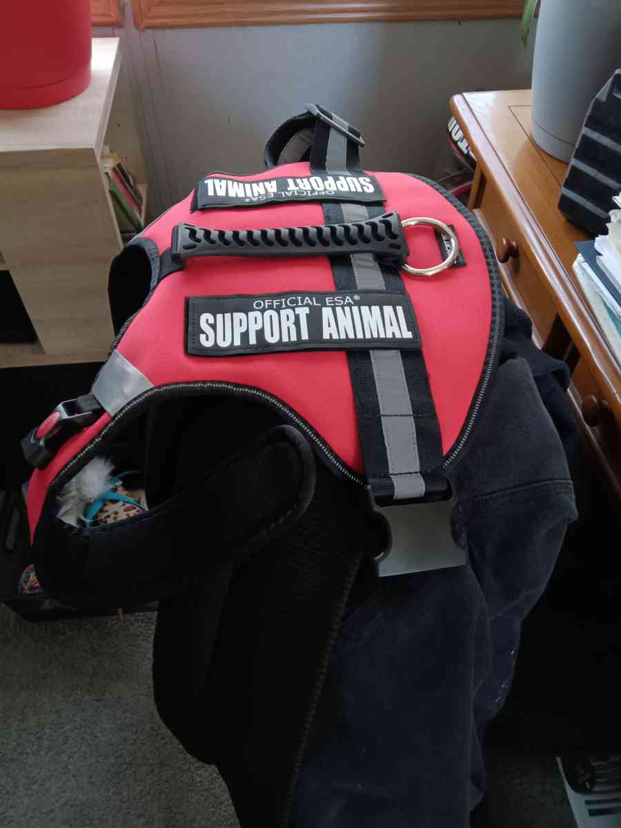extra large official ESA harness