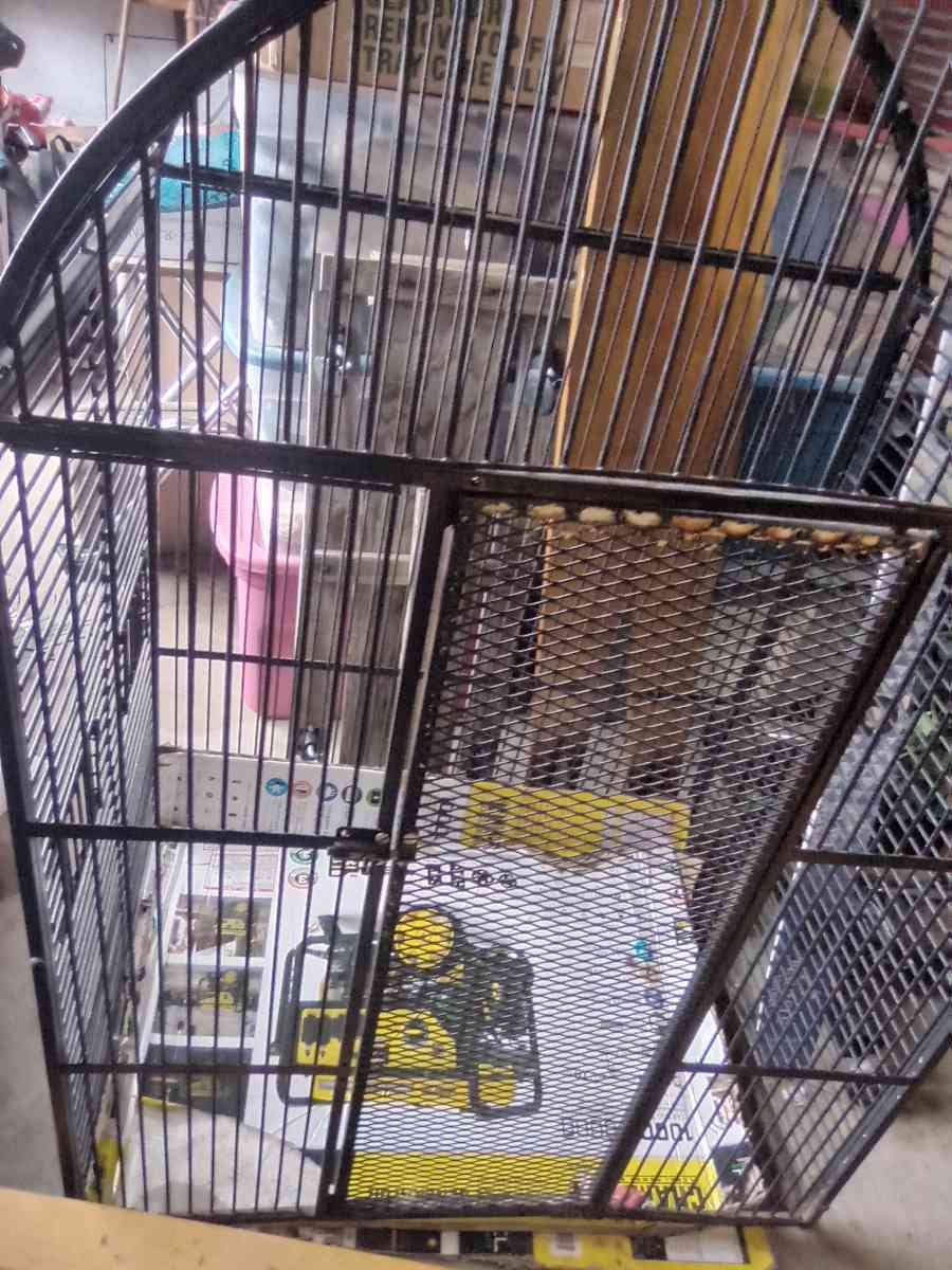 large Parrott cage