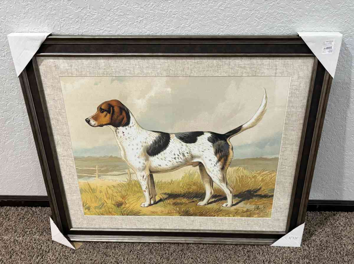BRAND NEW VERY NICE FRAMED COON DOG ON POINT