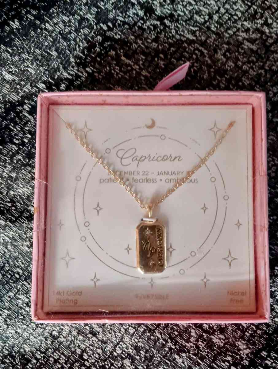 14kt Gold Plated Zodiac Necklace For Capricorns