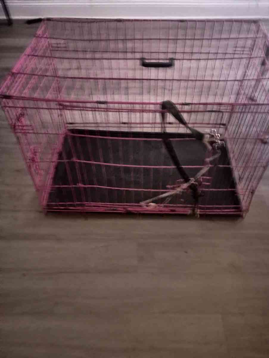 dog cage bed