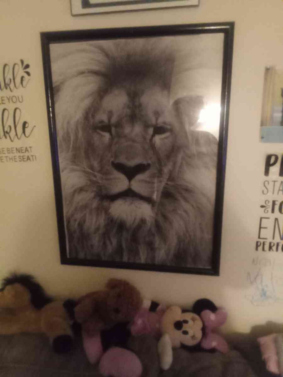 lion picture in frame