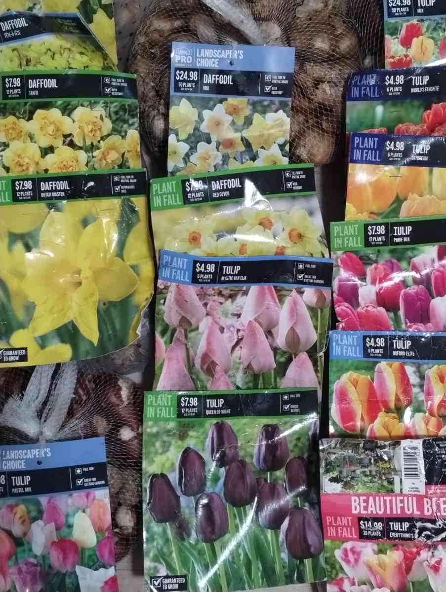 seed starter kits various flower bulbs