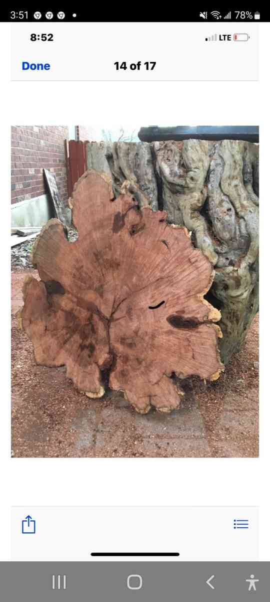 mesquite slabs of wood  7 ft tall  by 38 to 40 inches wide