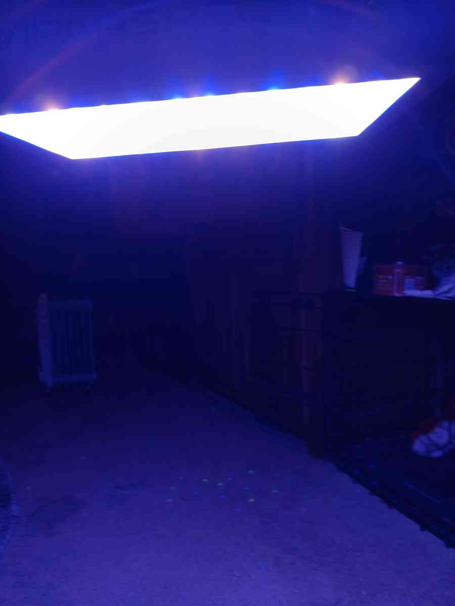 indoor grow lights 4