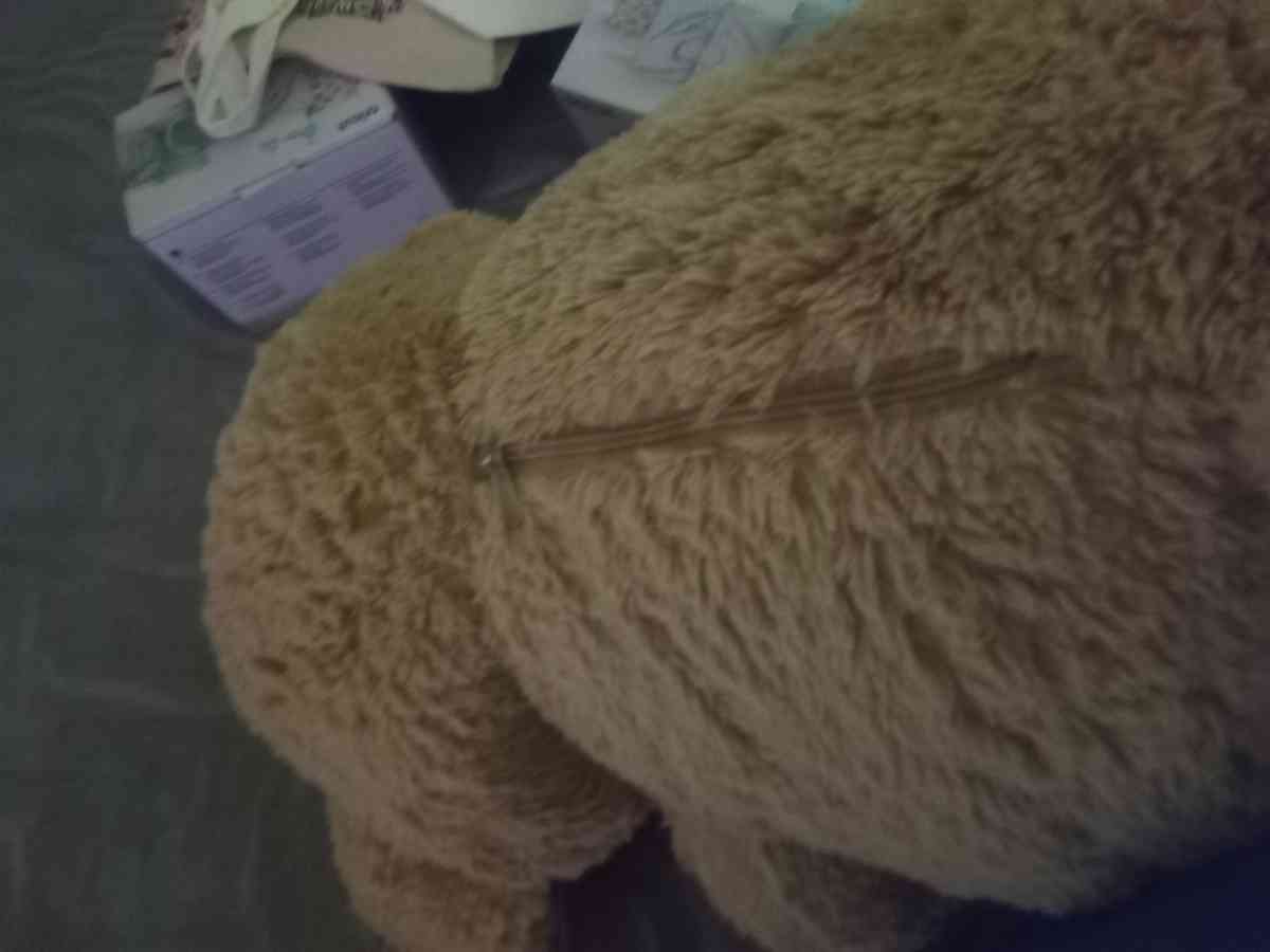 new teddy bear