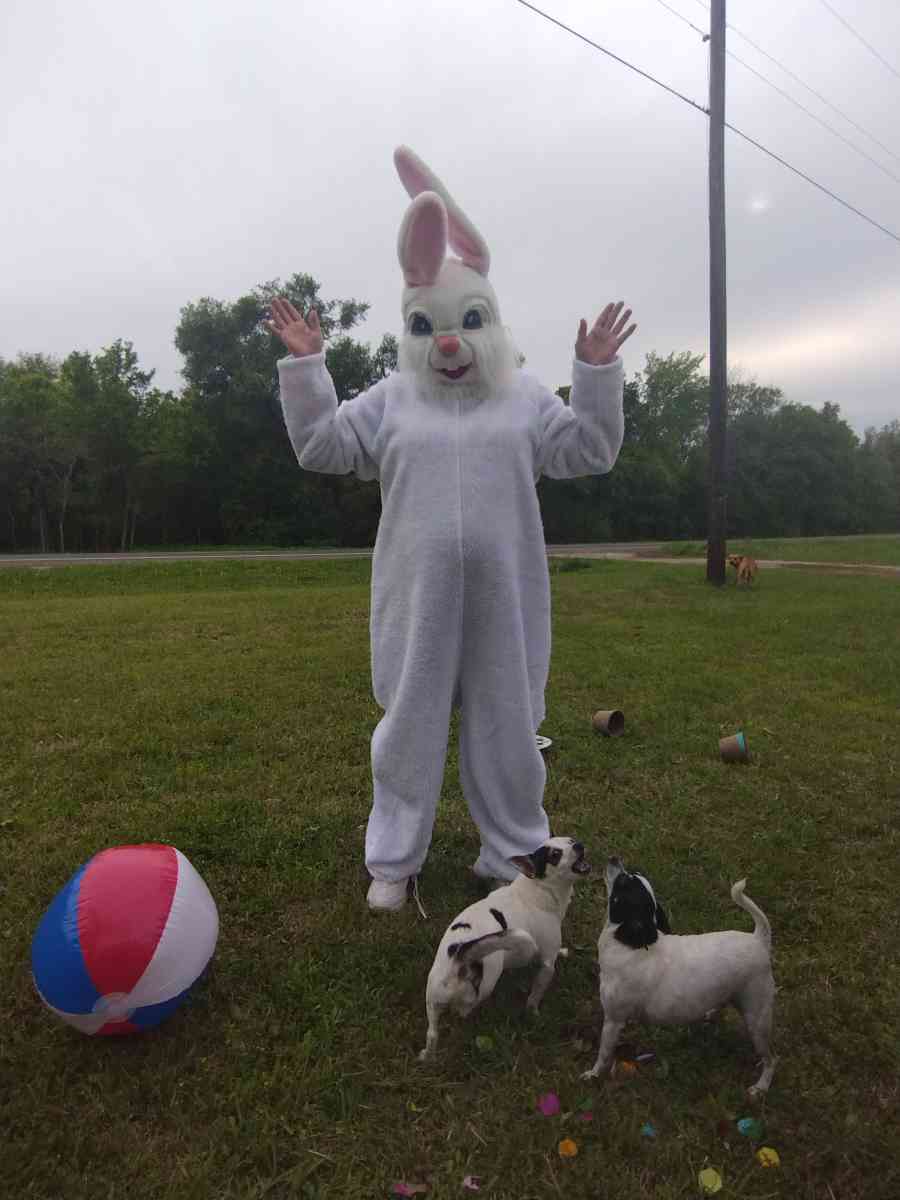 FREE pictures and snacks with the easter bunny