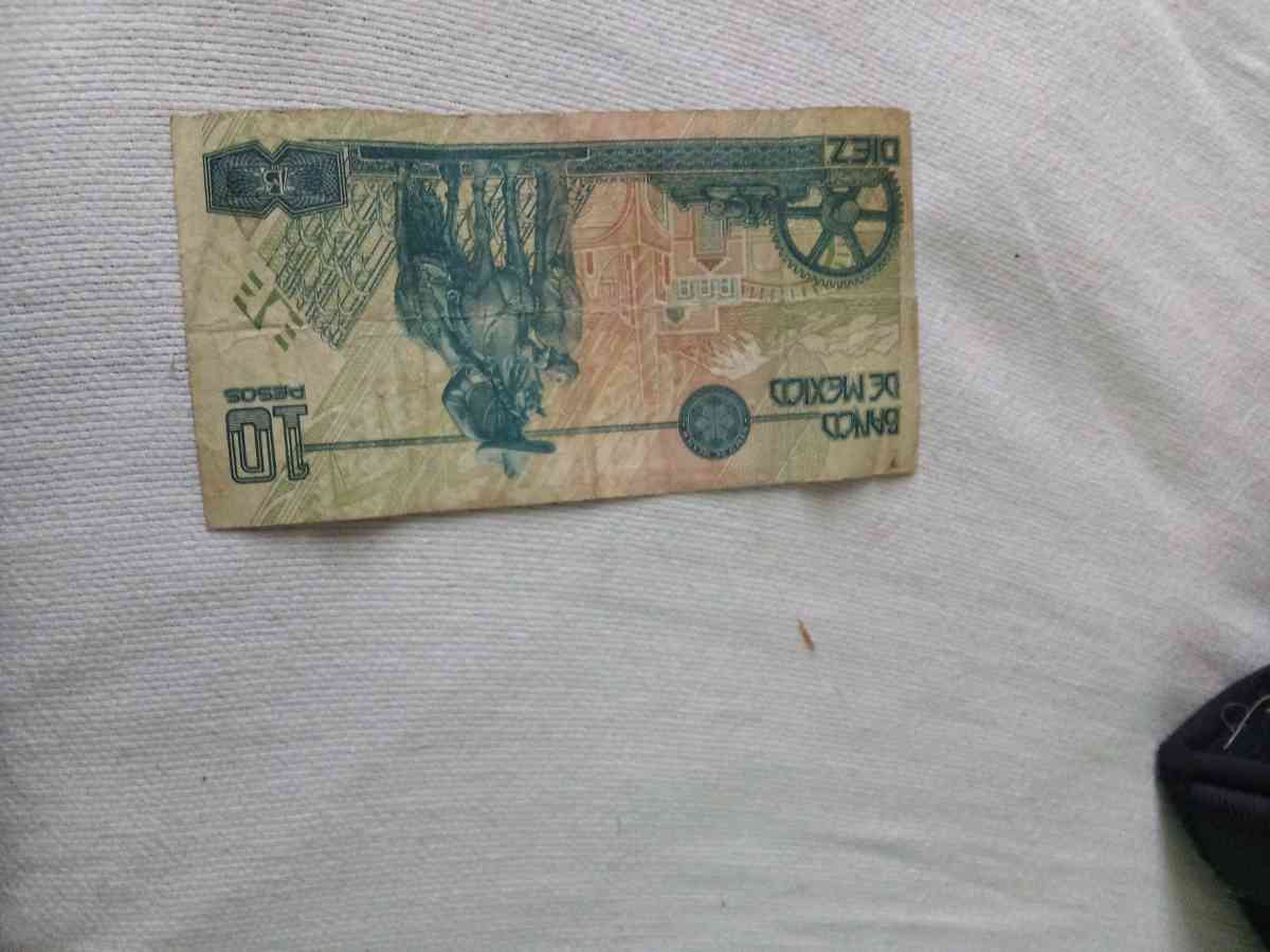 1996 mexican 10 dollar bill
