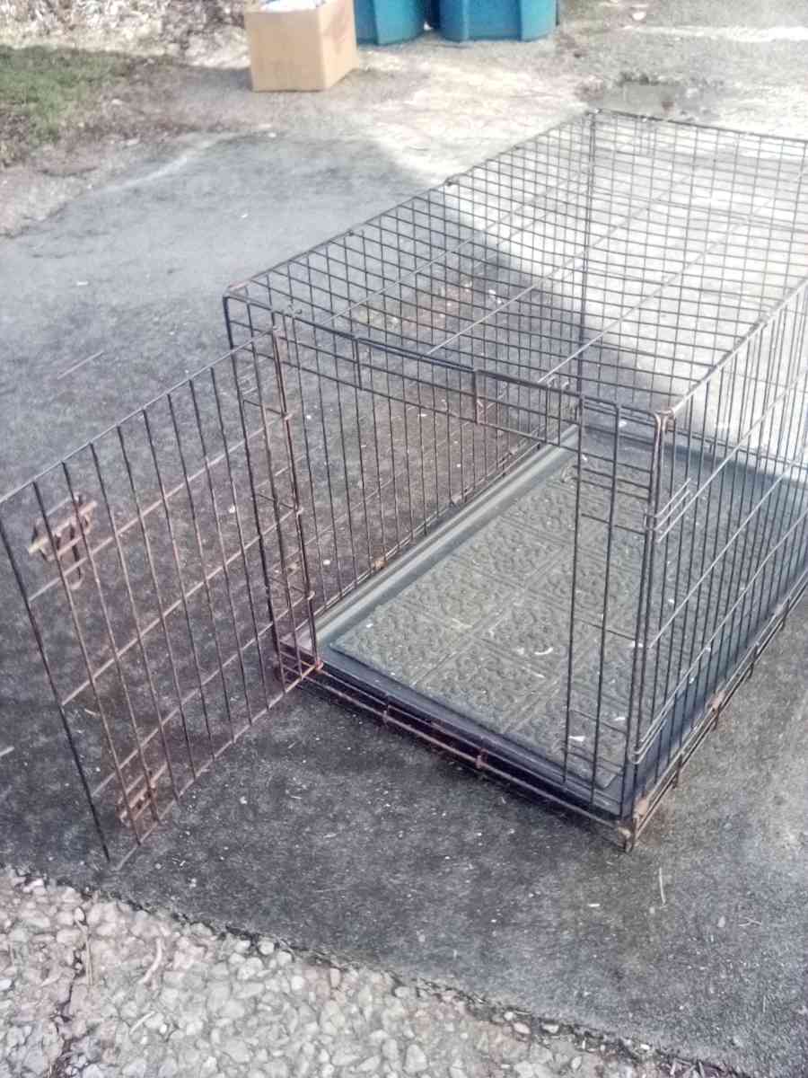 steel dog cage for a big dog