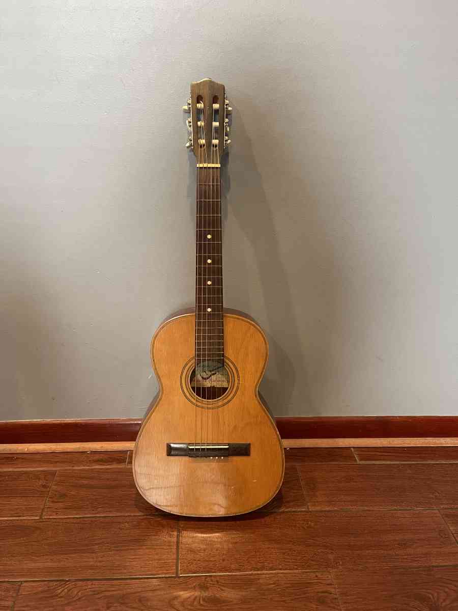 vintage Giannini masterpiece guitars guitar