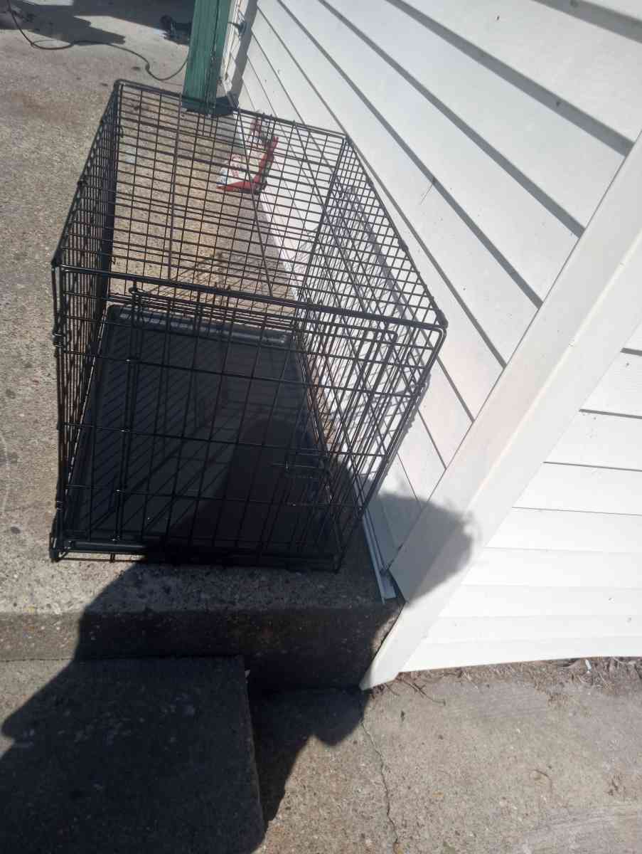 Brand new medium sized dog cage just bought it