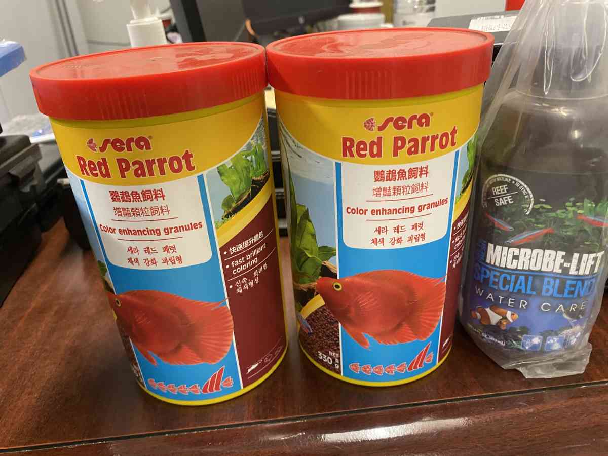 Red Parrot enhancing color food
