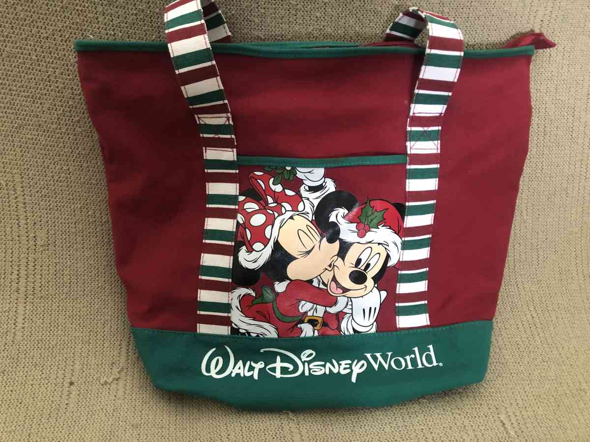 Walt Disney World Parks Santa Mickey and Minnie Canvas Large