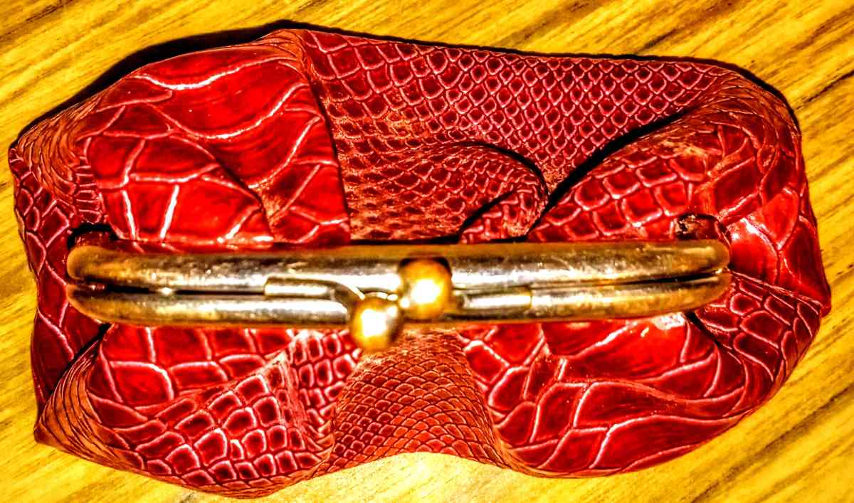 Red Small Rattlesnake Pattern Clutch with 25in Silver Chain