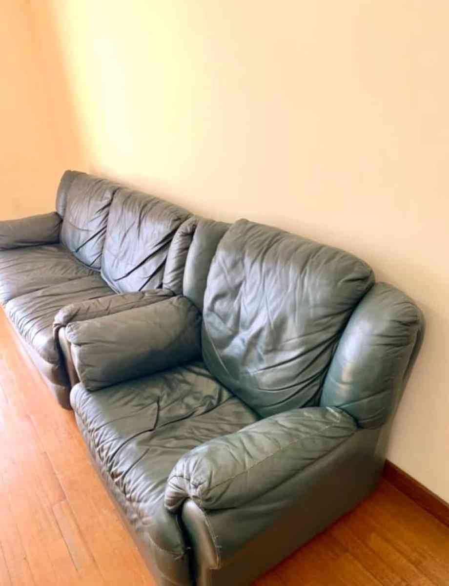 Green leather  Sofa furniture