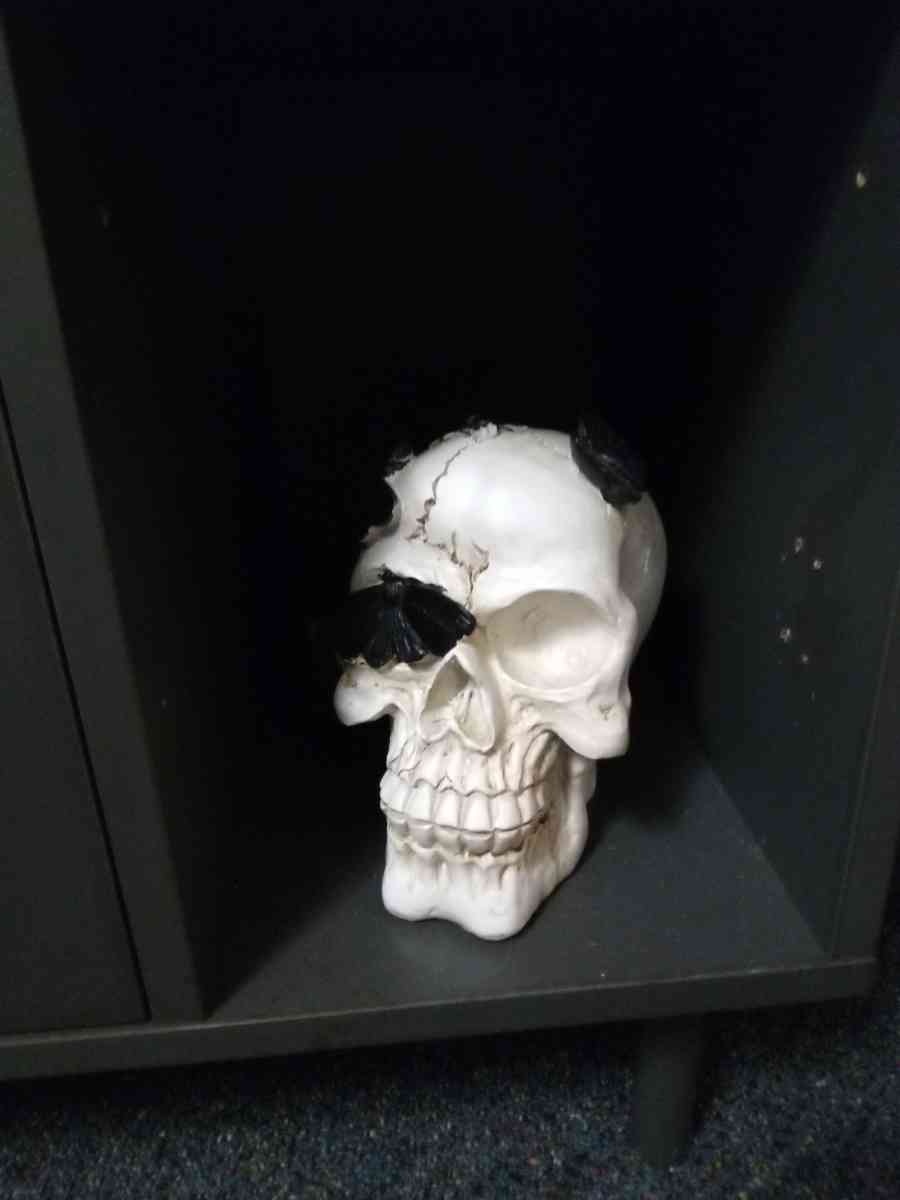 Skull Decor