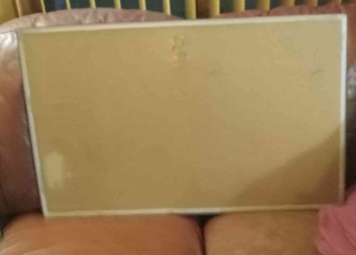 Bald Eagle Wall Picture