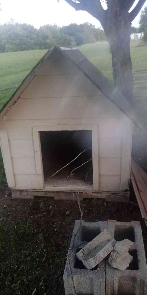 Thee Dog House