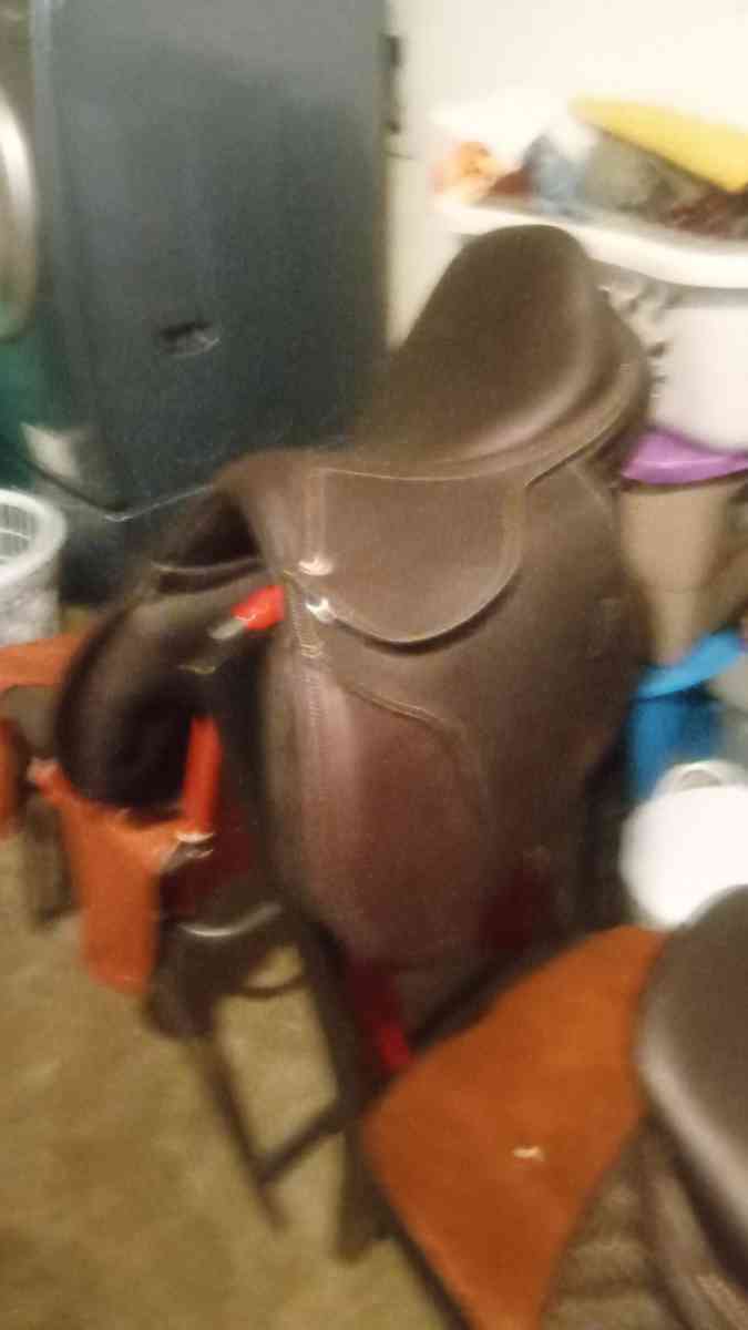horse saddle and bridal